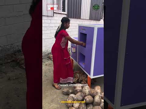 Coconut Dehusking / Coconut Peeling Machine #shorts