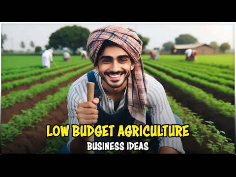 ဗီဒီယို။ ရင်းနှီးမြုပ်နှံမှုနည်းသော အမြတ်အစွန်းရှိသော စိုက်ပျိုးရေးလုပ်ငန်းဆိုင်ရာ စိတ်ကူးများ
