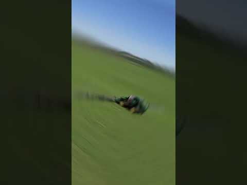ဗီဒီယို။ ပိုးမွှားများအတွက် alfalfa ဖြန်းခြင်း။