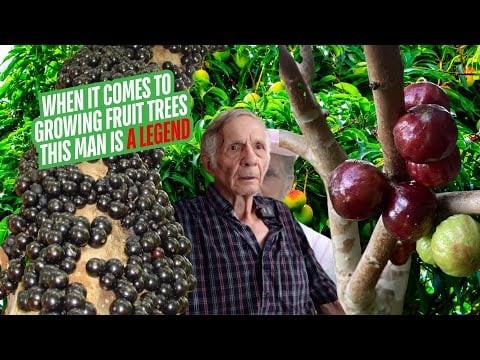 ဗီဒီယို။ Charles Novak A Fruit Growing Legend နှင့် သွားရောက်လည်ပတ်ခြင်း။