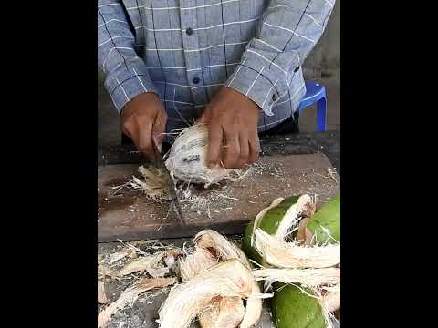 ဗီဒီယို။ Master Cutting Coconut သောက်သုံးရန်လွယ်ကူခြင်း။