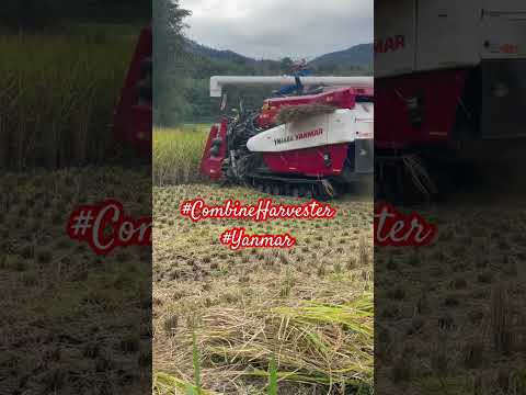 ဗီဒီယို။ Harvester ကို ပေါင်းစပ်ပါ။