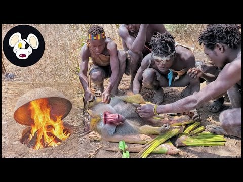 အံ့သြစရာကောင်းတဲ့ Hadza Bushmen တွေဟာ တောရိုင်းအလယ်မှာ မျောက်တွေကို ဖမ်းပြီး ချက်ပြုတ်ကြပါတယ်။