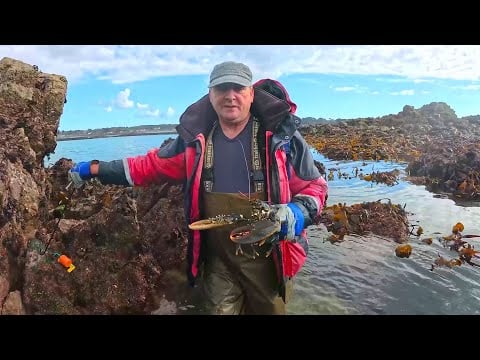 Lobsterers Abalone & The The The The The The The The The The The Hooks