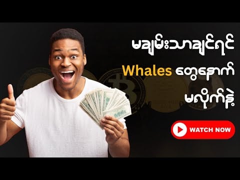 ရေကန် Crypto Whales လိုလိုကိုအရောင်းအမြန်လူးကောင်သည် 2025 အတွက်လျှို့ဝှက်နည်းဗျူဟာများ