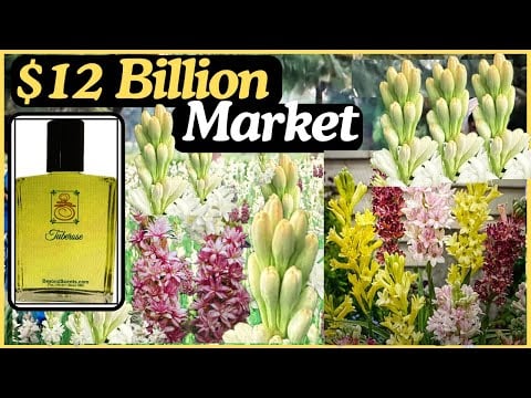 ရေကန် Tuberose စိုက်ပျိုးခြင်း – အဖူးအငုံထွက်ခြင်း မှလွဲ. ရေမွှေးပုလင်းအထိအံ့သွဖွယ်ခရီး