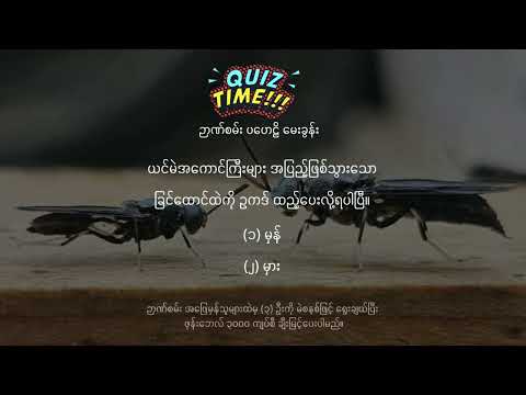 ရေကန် အတိုးတုံရစ်စကျမ်ဗမာစာြက်စ်၏အစာရေခေါင်အိမ်ဘူးအိမ်ဘူးအိမ်ဘူးအိမ်ဘူးဘူး