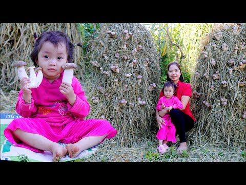 ရေကန် ဟင်းသီးဟင်းရွက်မှောင်ခိုရောင်းဝယ်မှုသည်စျေးကွက်ရောင်းဝယ်မှုကိုဖြစ်စေသည်။ သစ်ပင်များနှင့်စွန်ပလွံပင်များမှအိမ်တစ်လုံးပြုလုပ်နည်း ရေကန် ဟင်းသီးဟင်းရွက်မှောင်ခိုရောင်းဝယ်မှုသည်စျေးကွက်ရောင်းဝယ်မှုကိုဖြစ်စေသည်။ သစ်ပင်များနှင့်စွန်ပလွံပင်များမှအိမ်တစ်လုံးပြုလုပ်နည်း