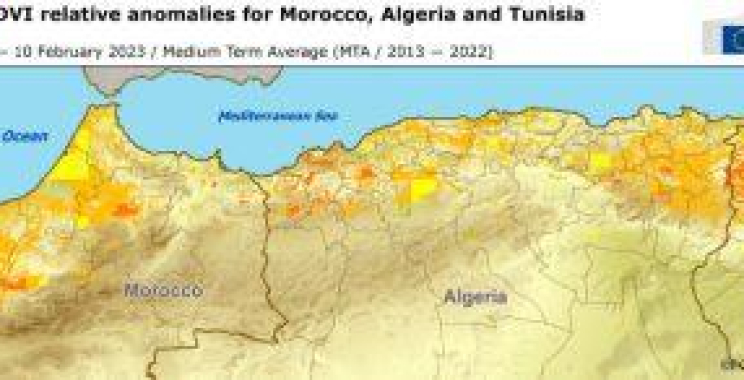 မိုးခေါင်မှုကြောင့် ဒုက္ခရောက်နေသော Maghreb သီးနှံထုတ်လုပ်မှု – Grain Central