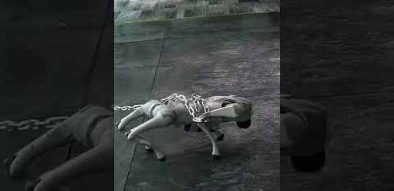 တစ် ဦး leash အပေါ်တစ် ဦး ခွေး၏ဒိုင်းနမစ်