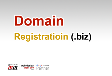 Domain Registration (.biz)/1 Year