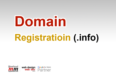 Domain Registration (.info)/1 Year