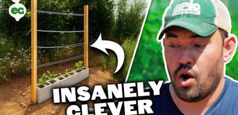 Pro ဥယျာဉ်မှူးသည်ပုံမှန်မဟုတ်သောဥယျာဉ်ခြံများဟက်ကာများကိုတုံ့ပြန်သည်