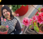 ဗီဒီယို။ Azalea Plant စိုက်ပျိုးနည်း – လှပသော ဆောင်းရာသီပန်းပွင့်အပင်