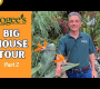 ဗီဒီယို။ Logee ၏ အသစ်ပြုပြင်ထားသော “အိမ်ကြီး” ၏ ခရီးစဉ် – အပိုင်း ၂