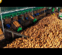 ဗီဒီယို။ အုန်းသီးထုတ်ကုန် သန်းပေါင်းများစွာ ထုတ်လုပ်နည်း – အုန်းဆံ၊ Cocopeat၊ Coconut Cream၊ Coconut Flour Factory