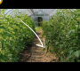 ဗီဒီယို။ ဥယျာဉ်တွင်သစ်သားကြော်များကိုအသုံးပြုနည်း