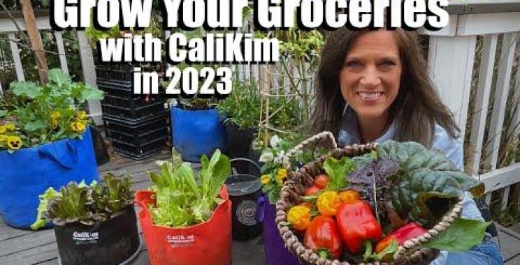 ဗီဒီယို။ 2023 တွင် CaliKim ဖြင့် သင်၏ကုန်စုံပစ္စည်းများကို ကြီးထွားလာပါ ?????