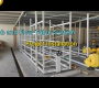 ဗီဒီယို။ Oman Indoor Hydroponics Vertical Faming – Ebb နှင့် Flow Table စနစ် တပ်ဆင်ခြင်း ပြီးမြောက်သော လုပ်ငန်းစဉ်