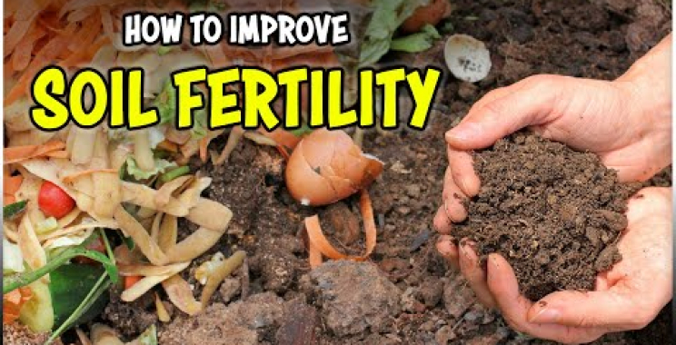 မြေဆီလွှာကျန်းမာရေးနှင့် မြေဆီလွှာ Fertility မြှင့်တင်နည်း