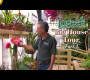 ဗီဒီယို။ Logee ၏ အသစ်ပြုပြင်ထားသော “အိမ်ကြီး” ၏ ခရီးစဉ် – အပိုင်း ၁