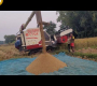 ဗီဒီယို။ အမြန်ဆုံး ဆန်စပါးရိတ်သိမ်းခြင်းလုပ်ငန်းစဉ်