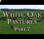 ဗီဒီယို။ White Oak Pastures အပိုင်း ၇