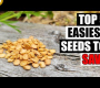 ဗီဒီယို။ အလွယ်ဆုံးမျိုးစေ့ချွေတာသီးနှံများ – Garden Quickie အပိုင်း 87