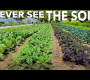 ဗီဒီယို။ Frith Farm တွင် ကျန်းမာသောမြေကို စိုက်ပျိုးခြင်း (ထိုနည်းအတိုင်း ထားရှိခြင်း)