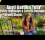 ဗီဒီယို။ April Garden Tour – ပန်းခြံအတွင်း အရောင်ပေါက်ကွဲမှုနှင့် ပြောင်းလဲမှုများစွာ + Drone ရိုက်ချက်များ