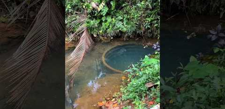 Look at Our Farm Pond With Crystal Clear Water 🌿💧