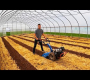 ဗီဒီယို။ ခရမ်းချဉ်သီးများ စိုက်ပျိုးရန် အဆင်သင့်ဖြစ်ပါပြီ။