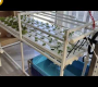 ဗီဒီယို။ NFT စနစ်ဖြင့် Cilantro စိုက်ပျိုးနည်း