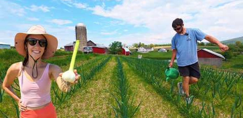 ရေကန် ကြီးမားသောကြက်သွန်ဖြူကြီးထွားရန်အကောင်းဆုံးနည်းလမ်း