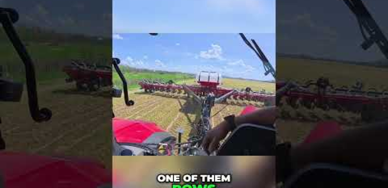 ရေကန် အဘယ်သူမျှမမျိုးစေ့နောက်ကွယ်မှ