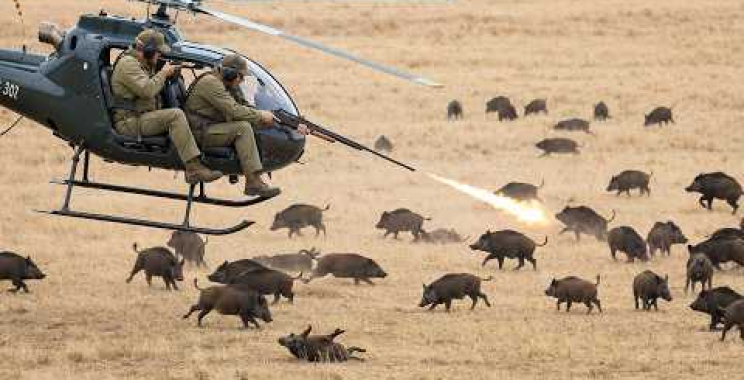 Helicopters on Farms – Here’s How Farmers Harvest, Hunt, and Ranch Faster Than Ever