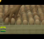 Incubator 1000 Eggs Incubators ဖောက်ထားသော ကြက်ဥ Incubators အပြည့်အဝ အလိုအလျောက် ကြီးမားသော စက်မှု Incubator