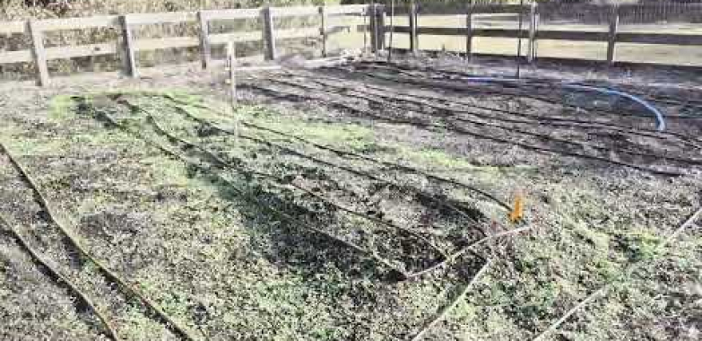 ဟင်းသီးဟင်းရွက်ခြံတစ်ခုတွင် စိုက်ပျိုးရန် ပြင်ဆင်နည်း