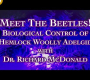 ဗီဒီယို။ Beetles များနှင့်တွေ့ဆုံပါ။