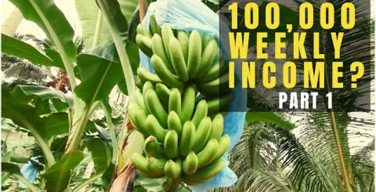 ရေကန် ယခင် farming သို့လှည့်