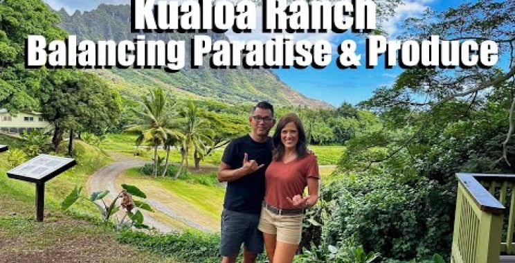 ဗီဒီယို။ Kualoa Ranch- ဟာဝိုင်အီရှိ ပရဒိသုဘုံကို ဟန်ချက်ညီညီနှင့် ထုတ်လုပ်ရေး-တာဝန်ယူ စိုက်ပျိုးမွေးမြူရေး/ သင့်ဥယျာဉ်ကို ကမ္ဘာကိုပြသပါ