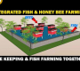 ငါးနှင့်ပျားရည် ပေါင်းစပ်မွေးမြူခြင်း။