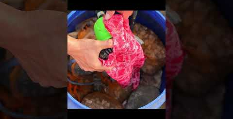 ဗီဒီယို။ DIY Aquarium Filter #shorts လုပ်နည်း