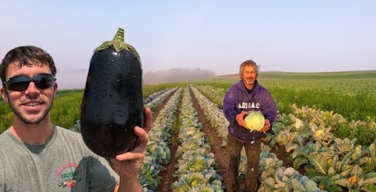 ဗီဒီယို။ Monster Vegetable Harvest