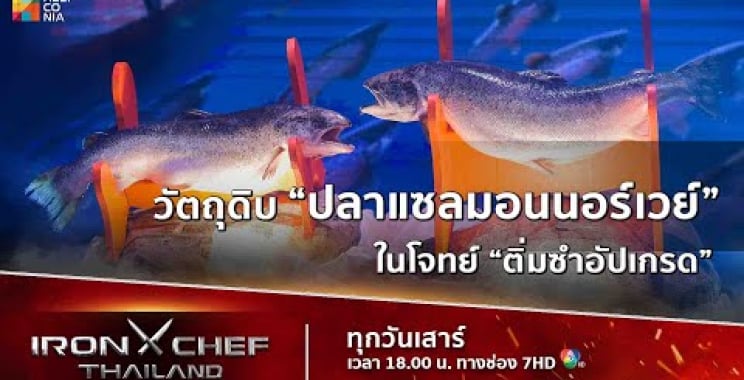 [မီးမောင်းထိုးပြ] ကုန်ကြမ်းပစ္စည်း “Salmon Norway” မှေးမှိန်သောအဆင့်တွင်