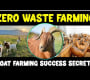 ဗီဒီယို။ Zero Waste Goat Farming – ရေရှည်တည်တံ့သော မွေးမြူရေးနည်းပညာ