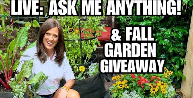 ဗီဒီယို။ 🍁LIVE- ငါ့ကို ဘာမဆိုမေးပြီး Fall Garden Giveaway