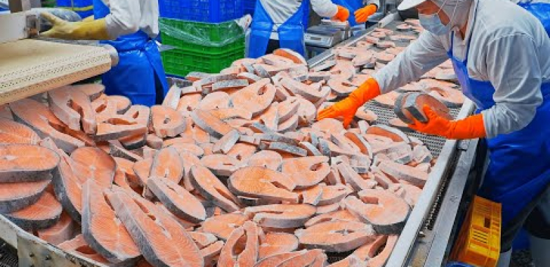 Salmon Cutting Processing Plant, Salmon Miso Soup Making /全台最大鮭魚加工廠, 鮭魚味增湯製作- 台灣海鮮工廠 – Food Factory