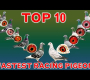 ကမ္ဘာ့အမြန်ဆုံး Racing Pigeons ၁၀ ကောင်
