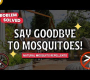 ဗီဒီယို။ ခြင်တွေမုန်းတဲ့ အပင် ၁၀ မျိုး 🚫 သဘာဝ ခြင်ဆေးပင်များ 🌸🛡️🦟